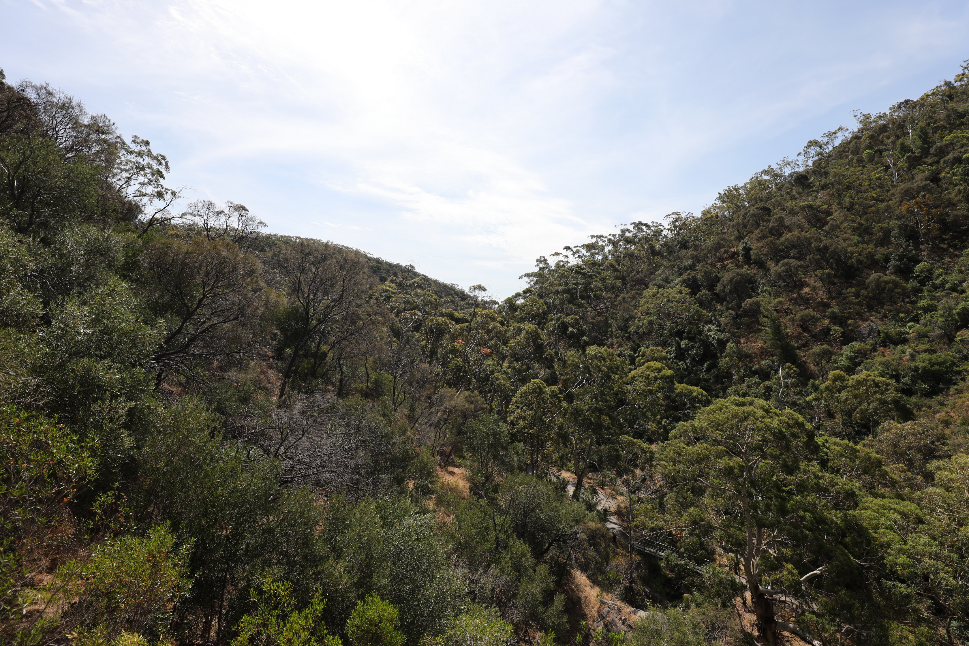 2019 12 08 15 44 39 Canon EOS 5D Mark IV 0044